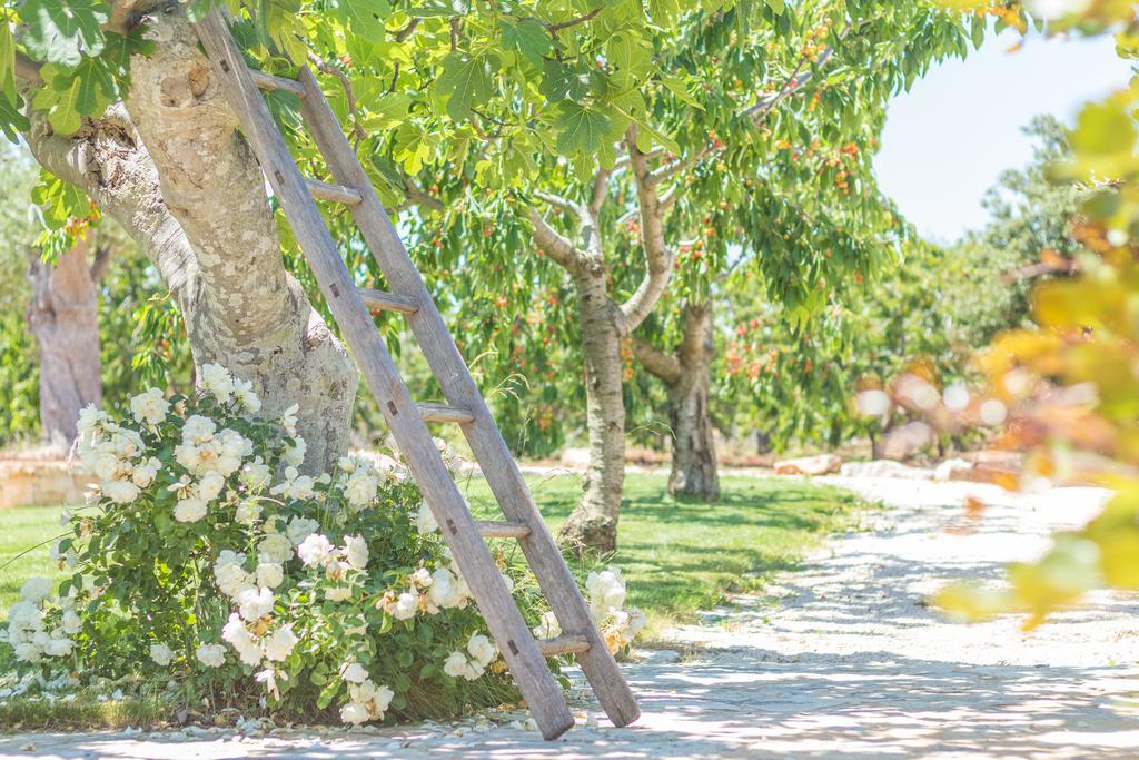 Masseria Rosa Trulli Relais Alberobello Extérieur photo